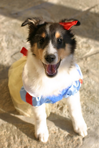 3769312343_99c45f3d4f 3769312343_99c45f3d4f